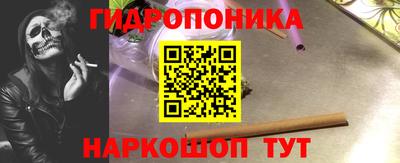 крисы Донской