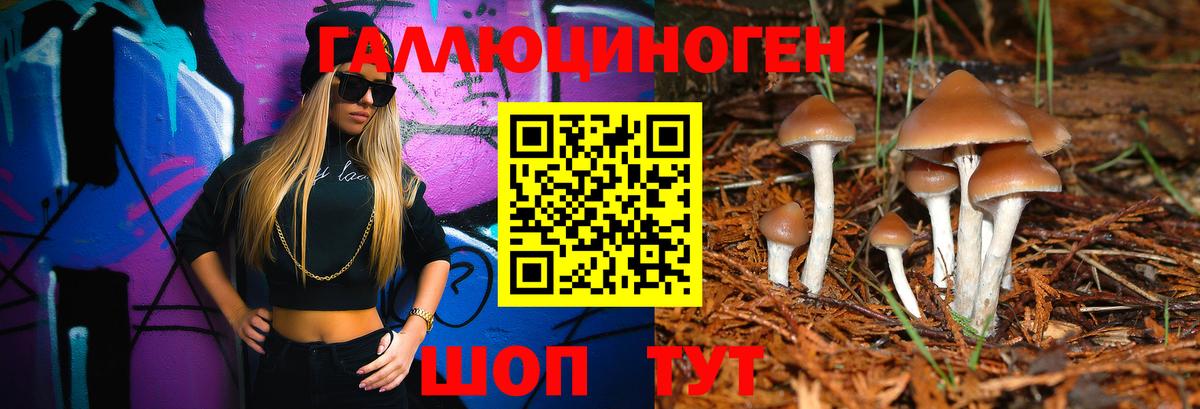 Михайловск  Галлюциногенные грибы мухоморы  Вход с VPN 